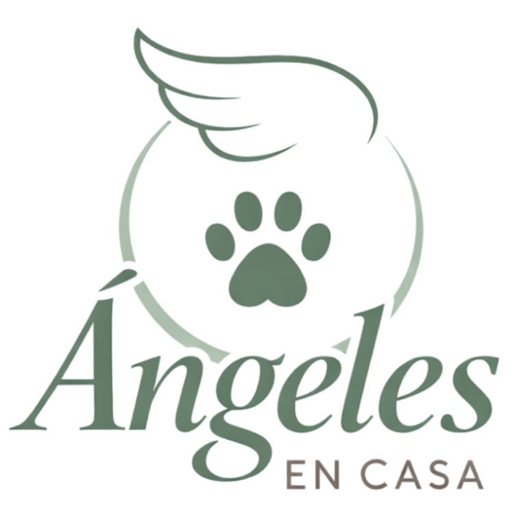 Ángeles en Casa